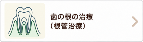 歯の根の治療（根管治療）